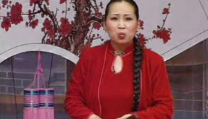 河南墜子視頻下載打包191-220