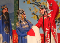 豫劇視頻下載打包174-192